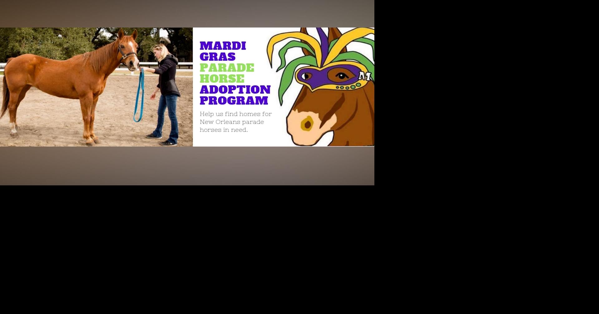 Humane Society of Louisiana Urges Community to Help Find Homes for 15 Mardi Gras Horses
