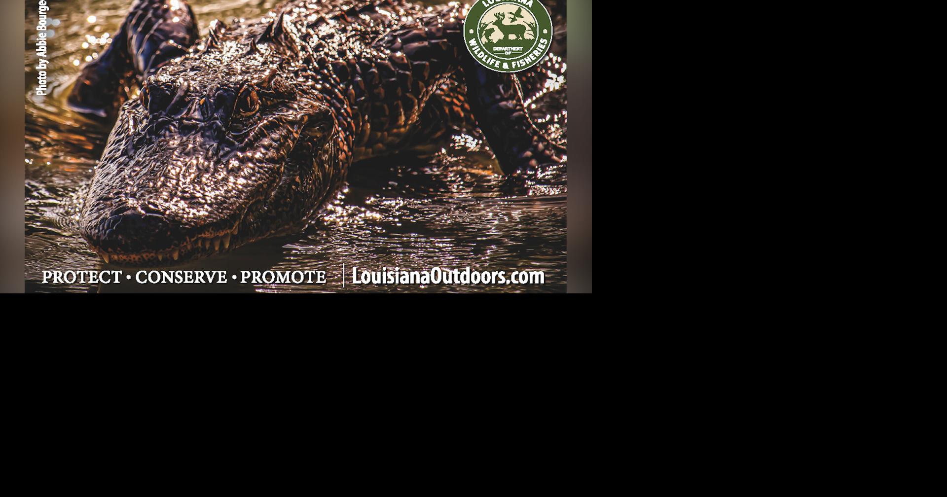 Submit Your Artwork to be Featured on the Next Fishing and Hunting License Hard Cards