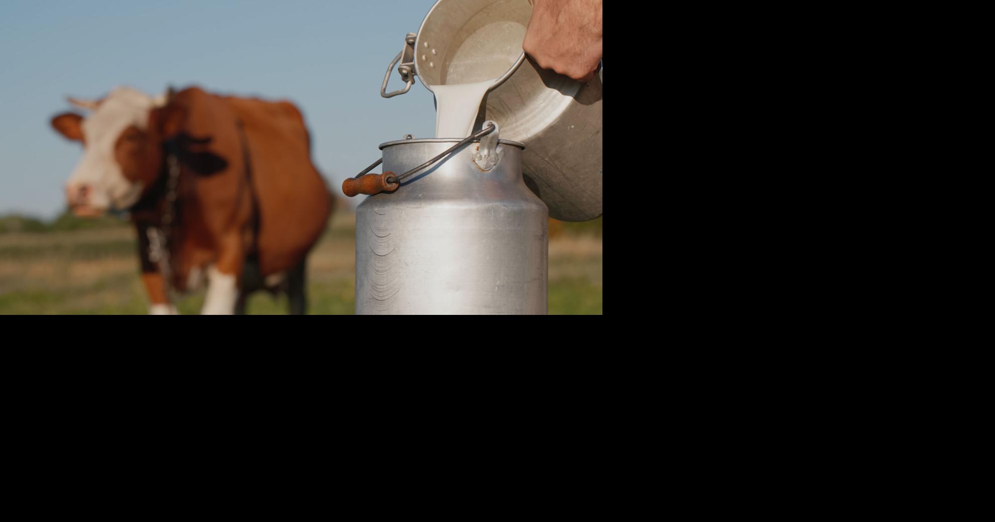 Louisiana health officials investigate bacterial infections linked to raw milk