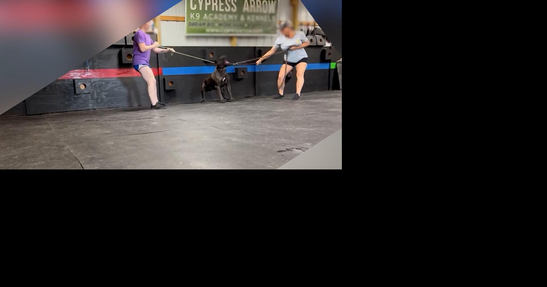 Tina Frey of Cypress Arrow K9 Facility Responds About Alleged Animal