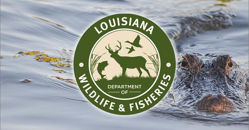 Act 37 Signed into Law, Creates First Ever Recreational Alligator Season in Louisiana