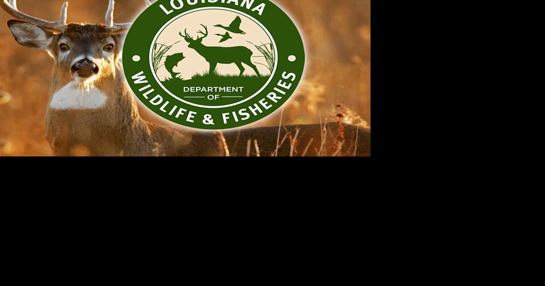 Louisiana 2025-26 Deer Season Opens in Some Areas Sept. 20, LDWF Announces
