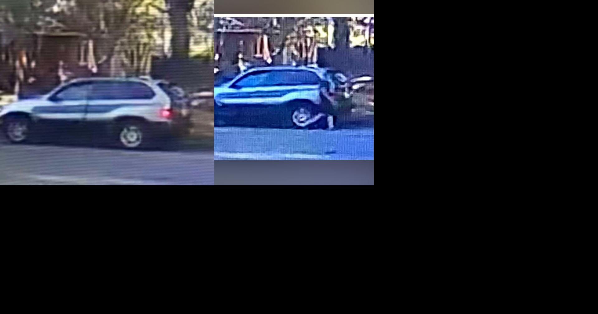 Humane Society of Louisiana Offers $500 Reward to Identify Suspect in Alexandria Kitten Abandonment