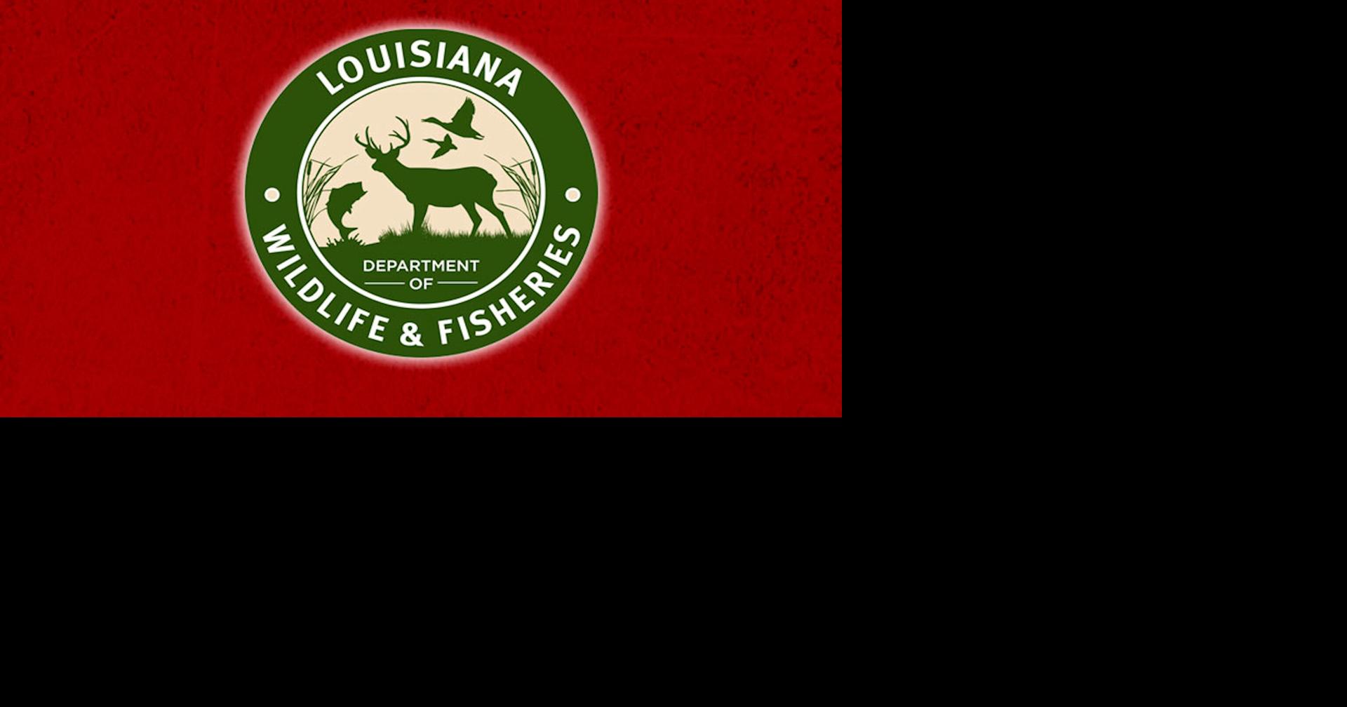 Wildlife Rehabilitation Online Training Course Available, LDWF Announces