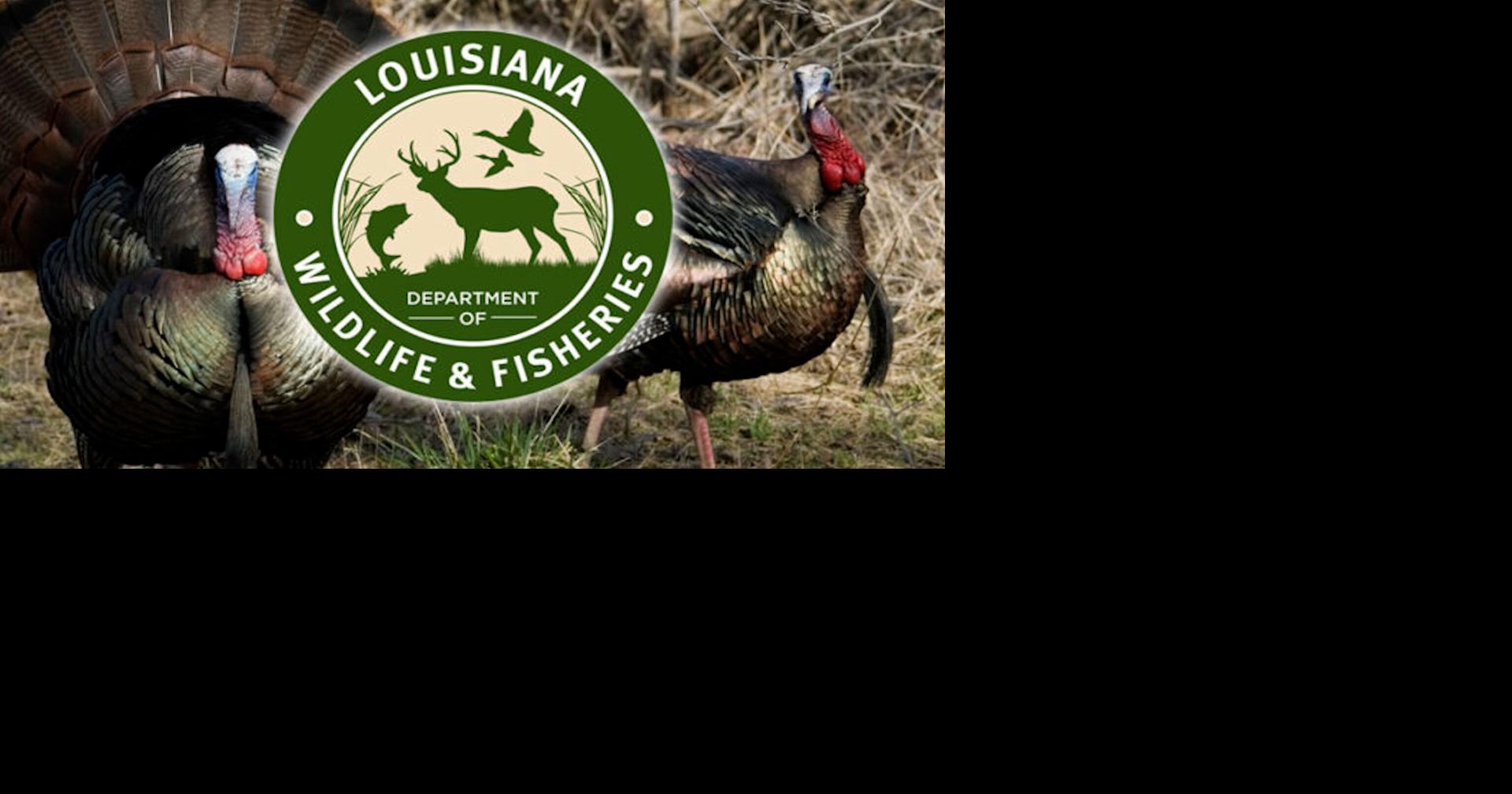 Louisiana 2026 Turkey Season Opens March 28 for Youth/Physically Challenged, April 3 for All Others