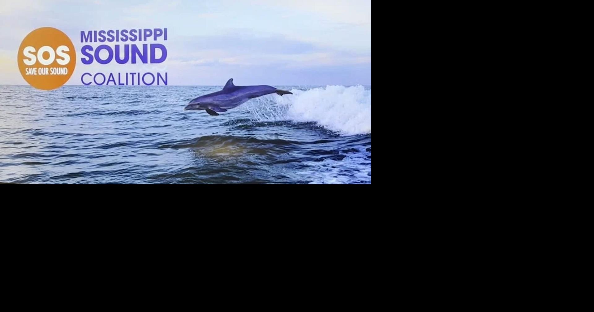 Congress Gives Corps $5 Million to Resume Lower Mississippi River Comprehensive Management Study