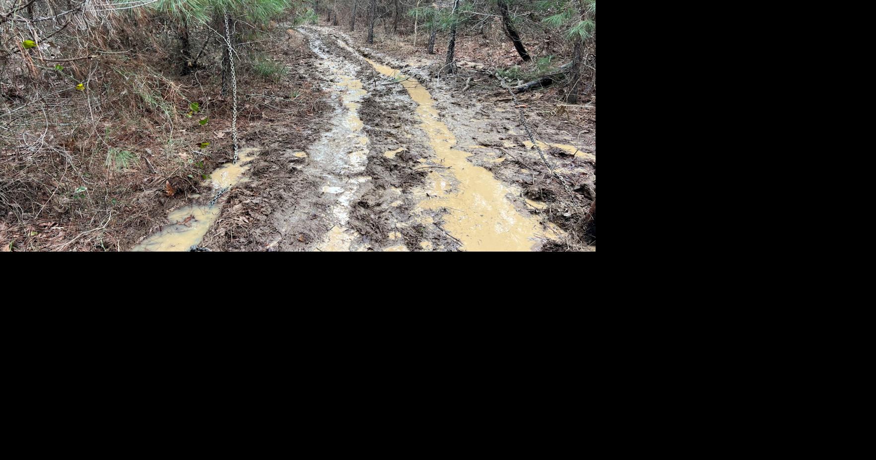 LDWF Agents Cite Three Subjects for WMA Violations in Ascension Parish