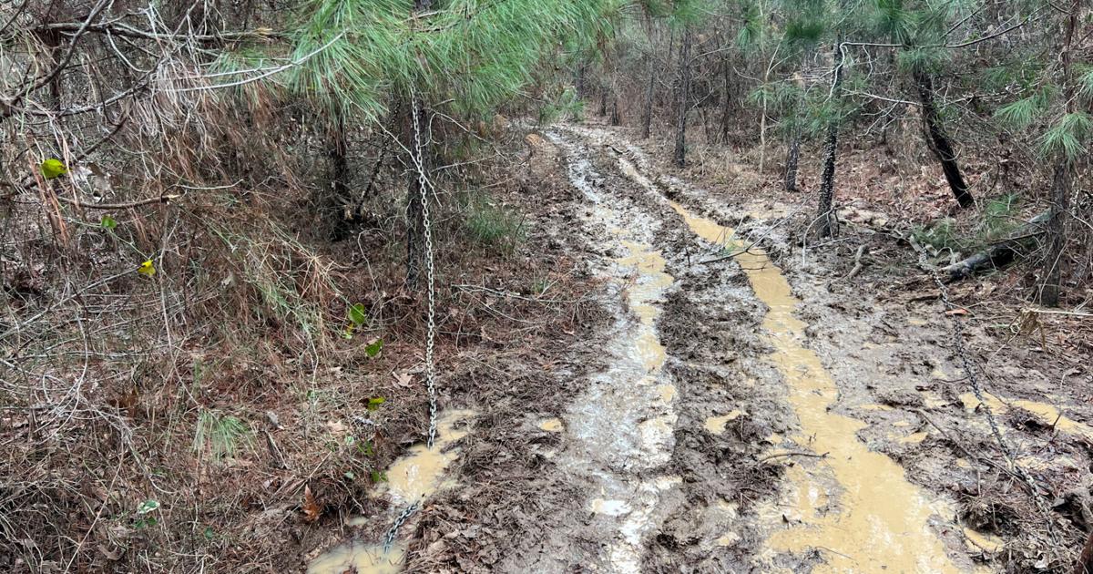 LDWF Agents Cite Three Subjects for WMA Violations in Ascension Parish