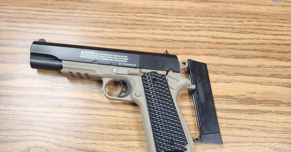 Student, parent charged for BB gun on school property