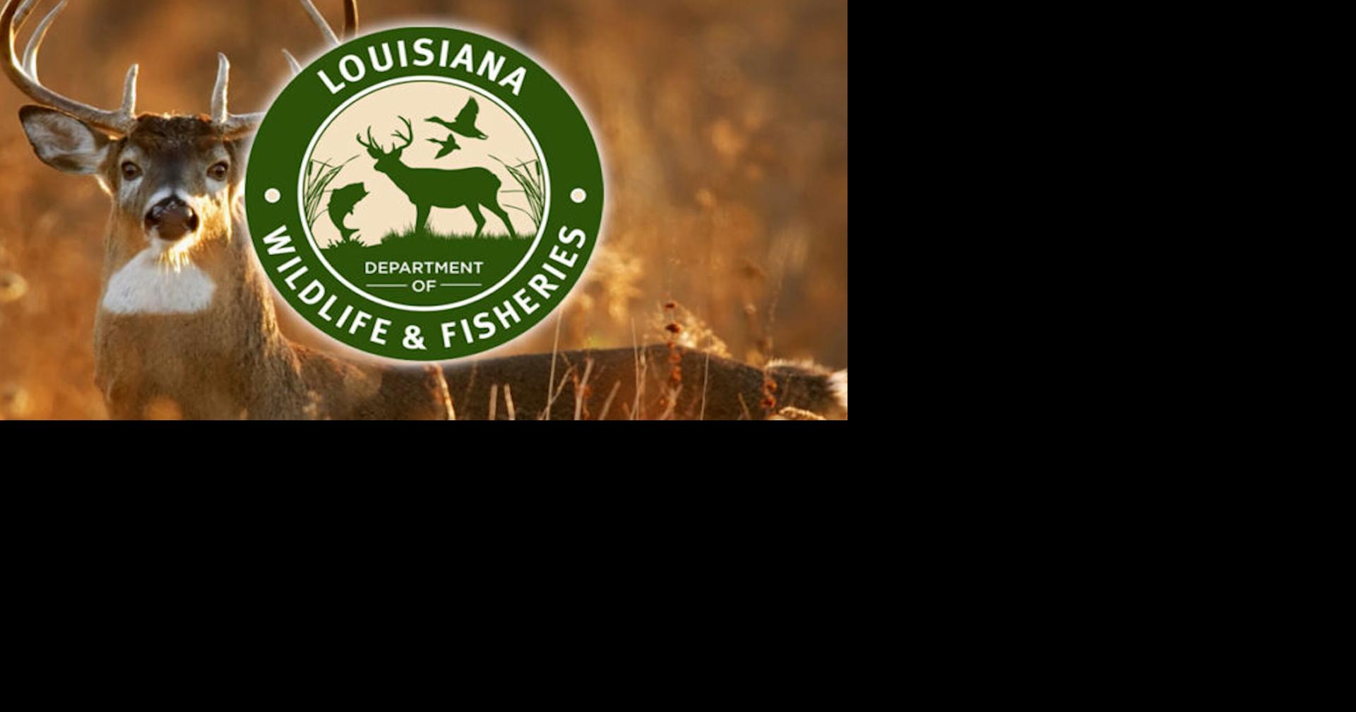 Agents Cite Three Men for Deer Hunting Violations in Avoyelles Parish