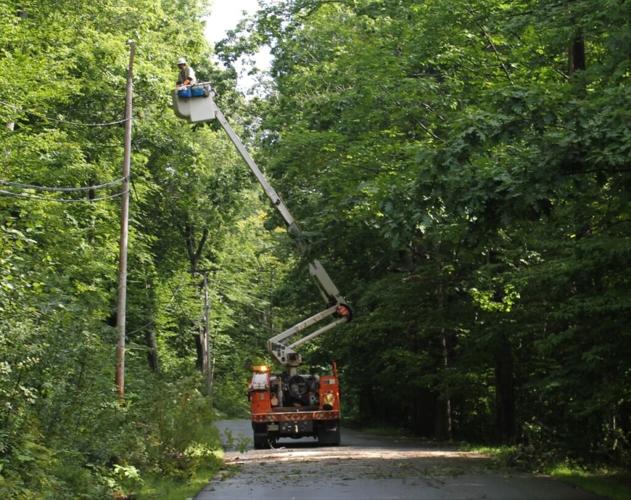 Downed Tree Knocks Out Power In Camden Hope News