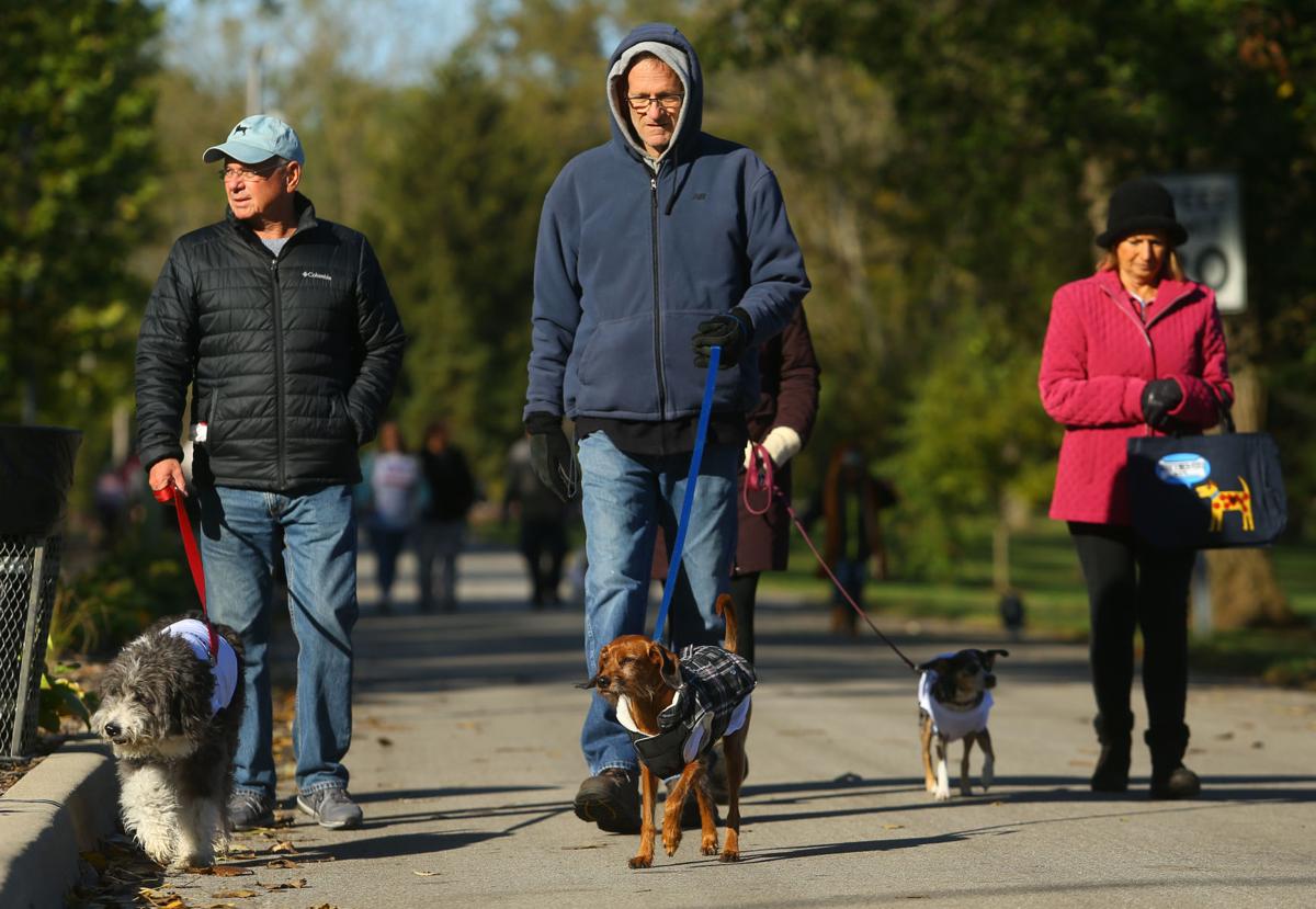 Barktoberfest 09.JPG