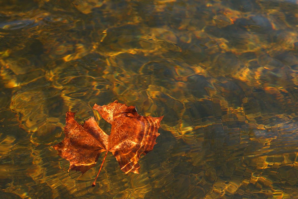 Eel River 05.jpg