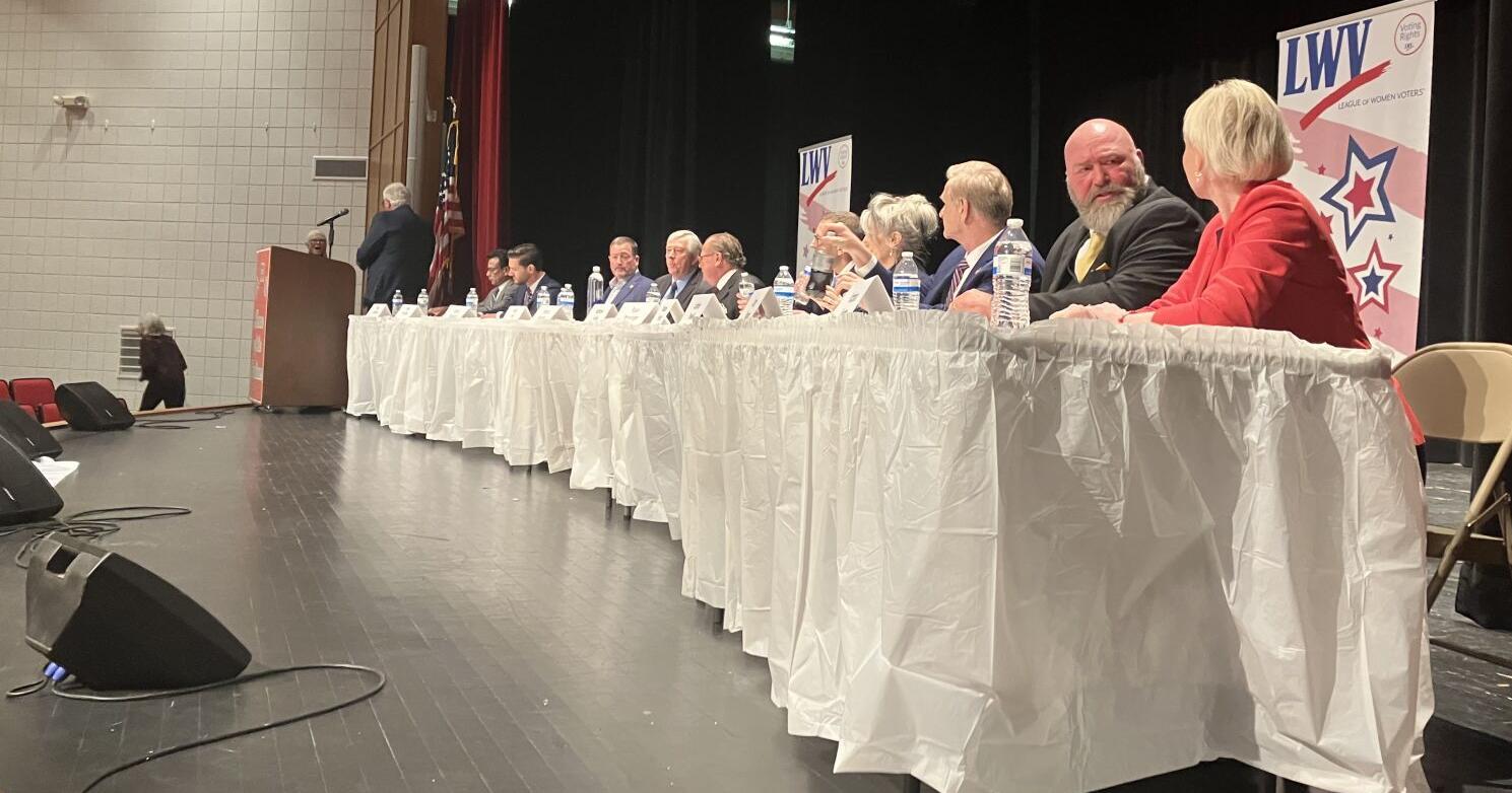 Congressional candidates support Second Amendment - Vimarsana News
