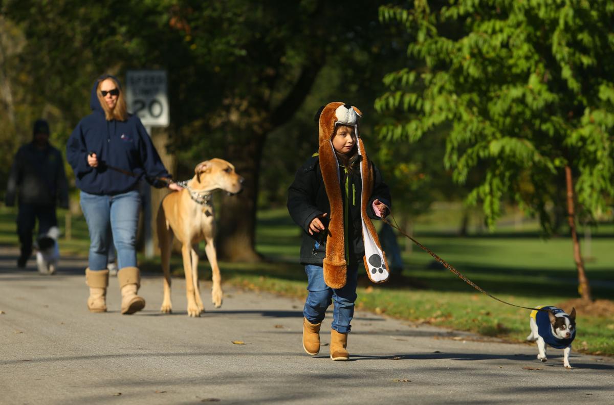 Barktoberfest 11.JPG