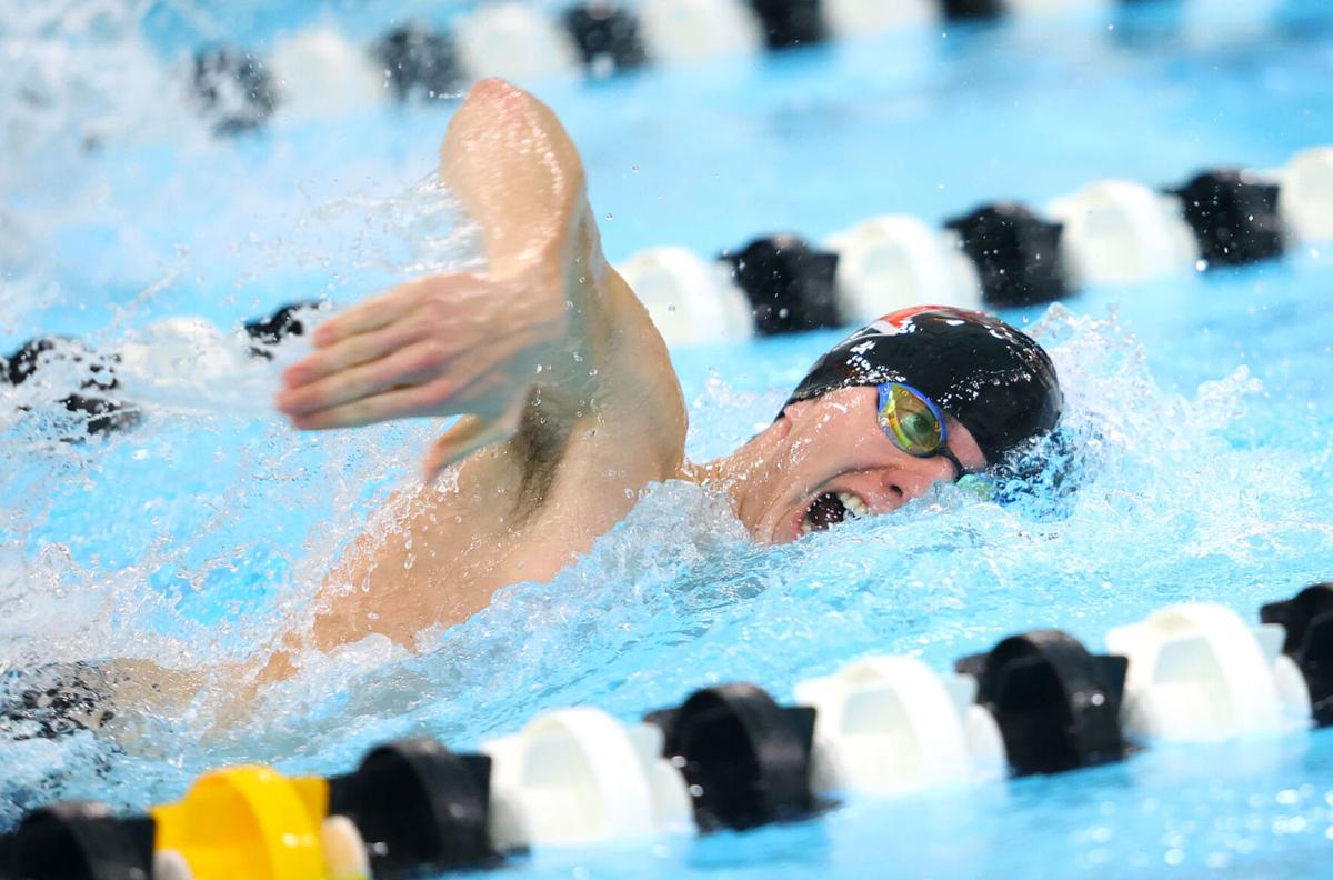 Western swimming 30.jpg