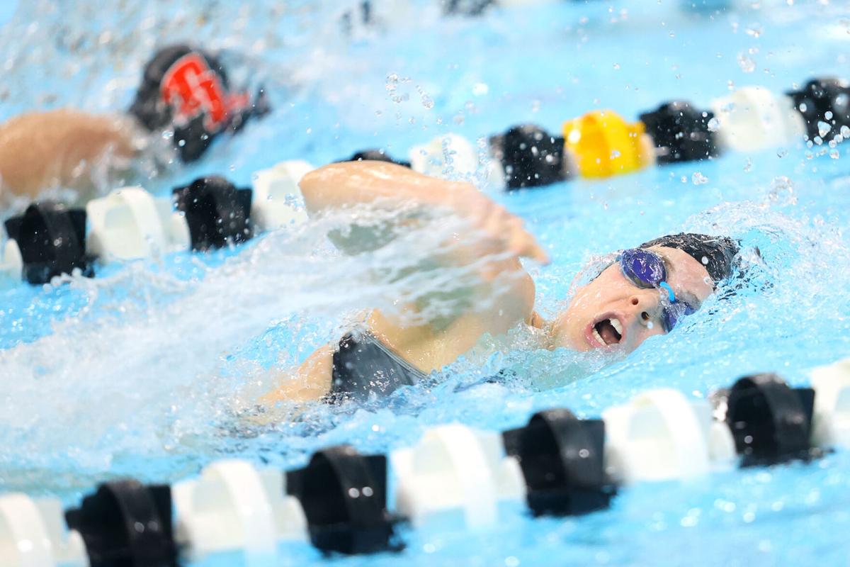 Western swimming 29.jpg
