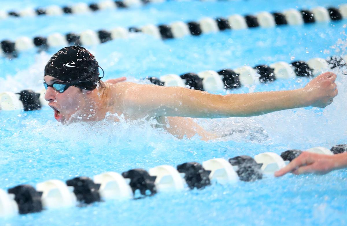 Western swimming 27.jpg