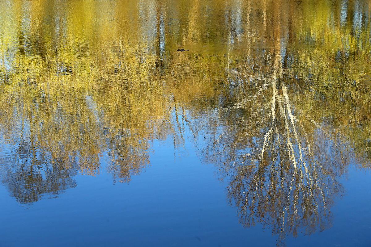 Eel River 08.jpg