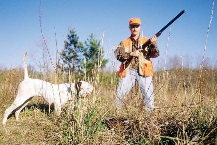 What hunters should know about the 2022 pheasant and quail hunts
