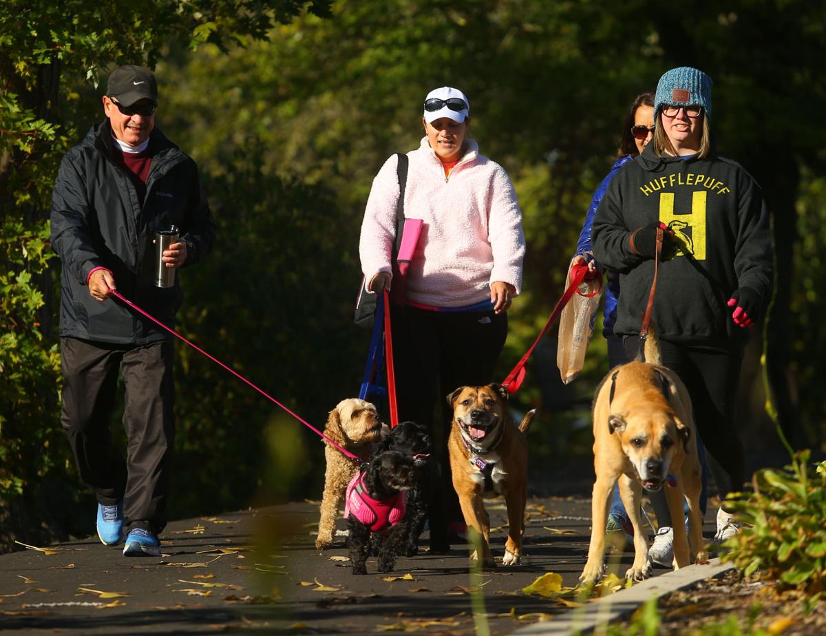 Barktoberfest 14.JPG