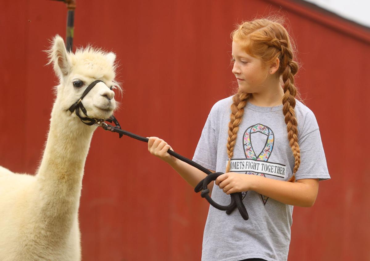 Fall 4 Alpacas Farm Day WEB ONLY 13.JPG