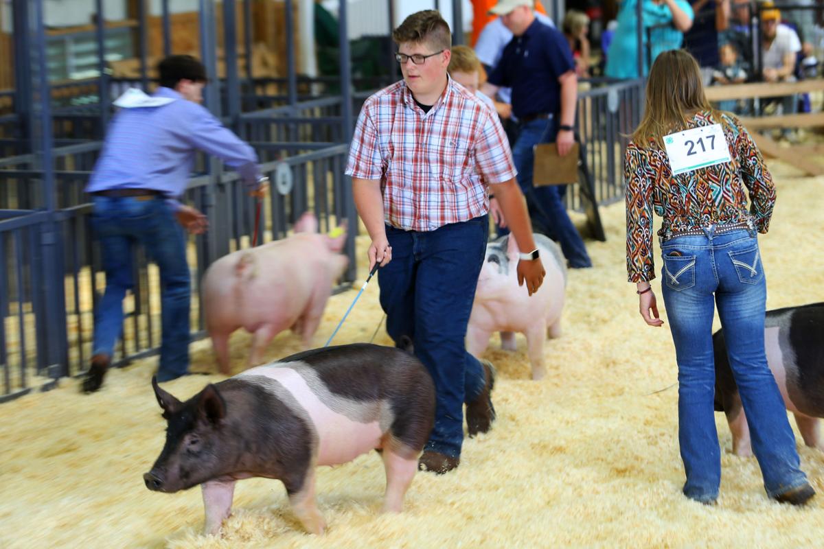 Waterford Mi 4h Fair 2022