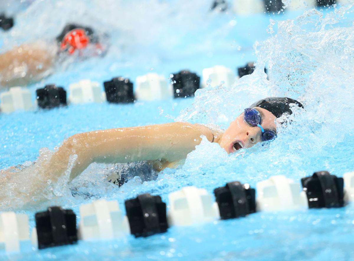 Western swimming 17.jpg