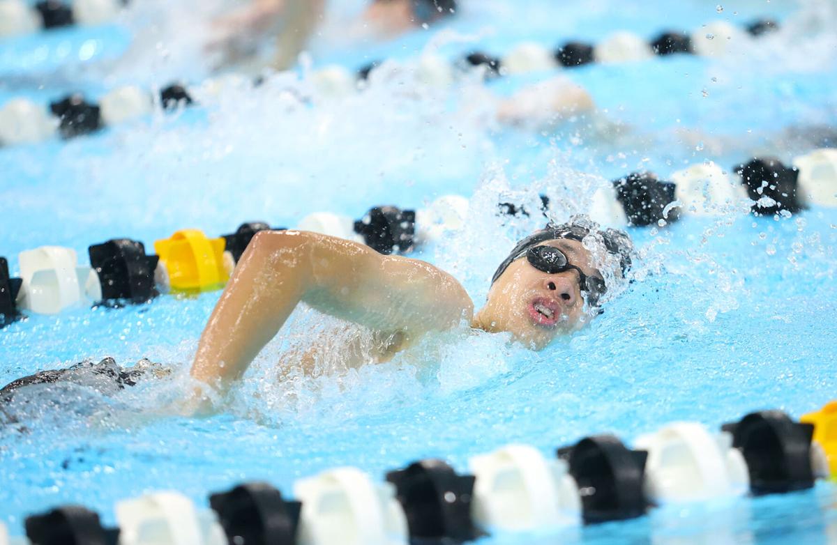 Western swimming 16.jpg
