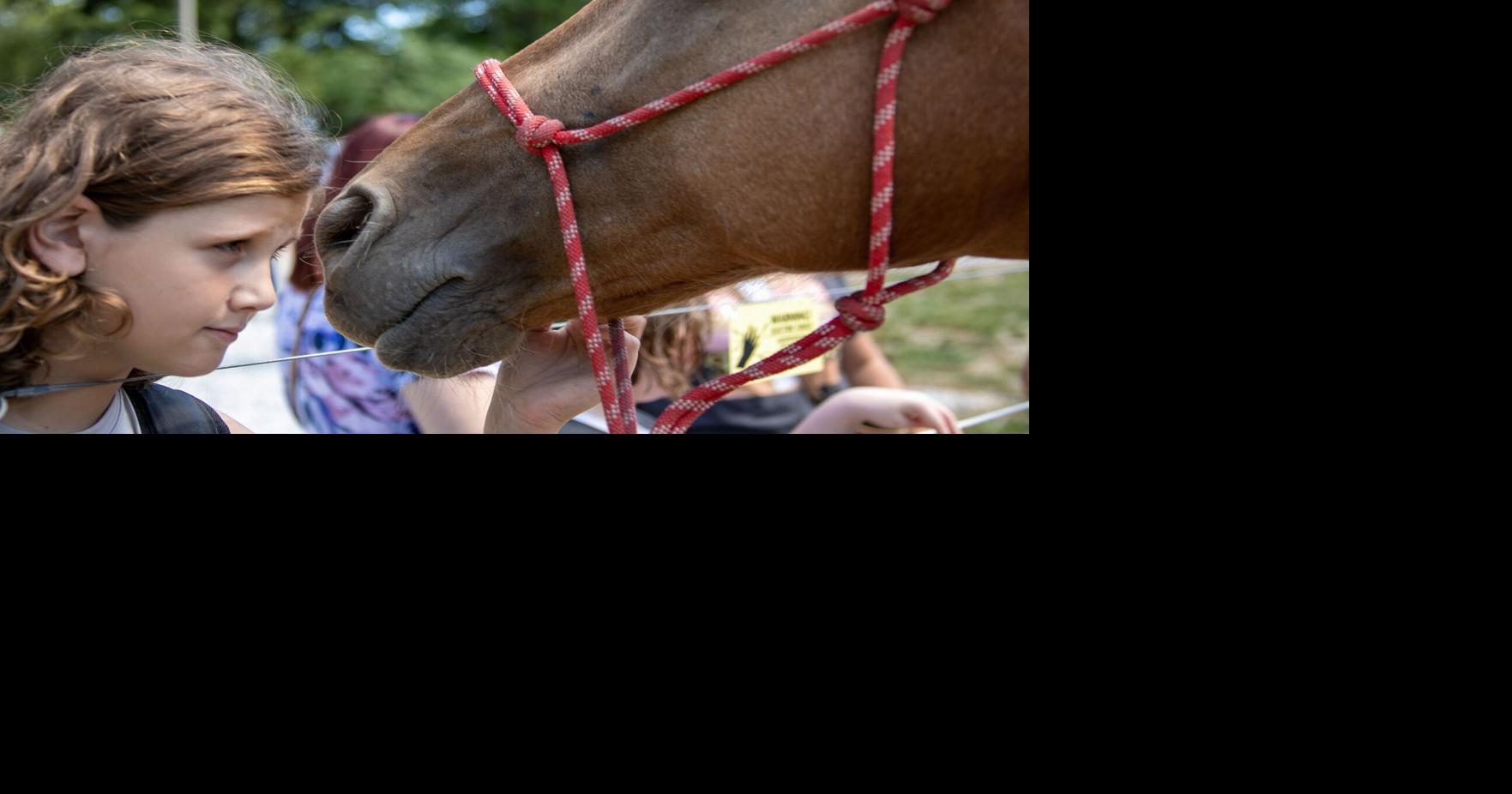 Narrow Gate Horse Ranch grand reopening shows community how program