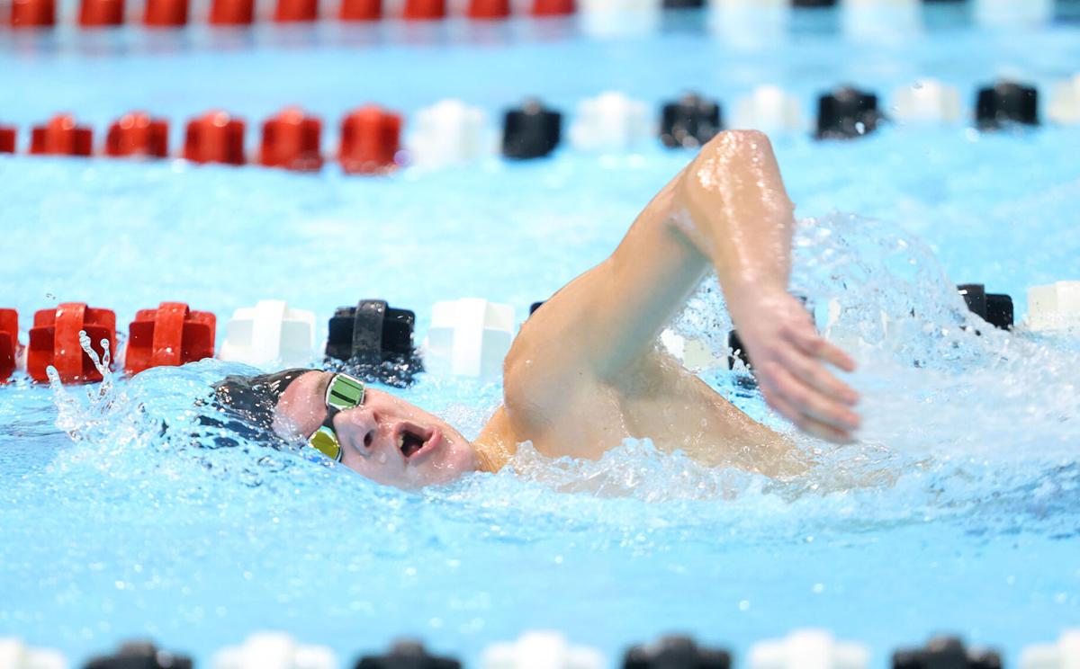 Western swimming 10.jpg