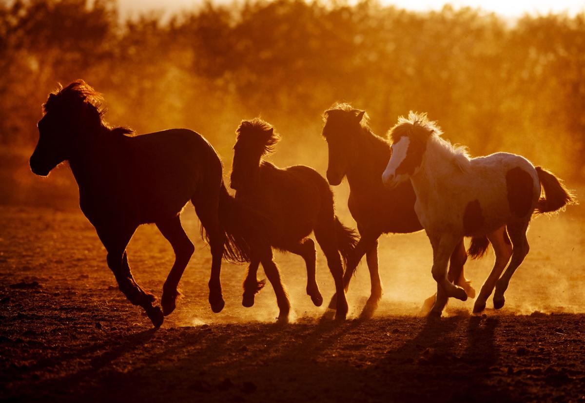Virus Outbreak Our Majestic World Photo Gallery
