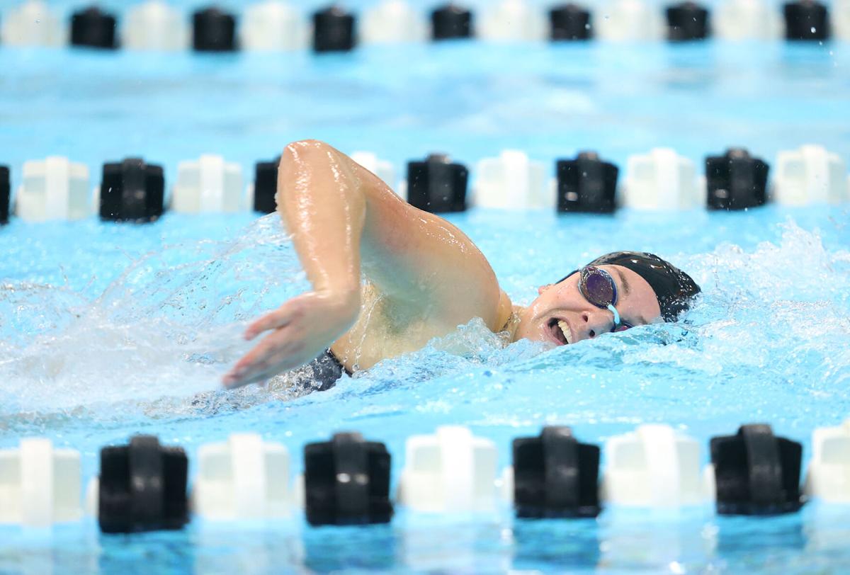 Western swimming 09.jpg