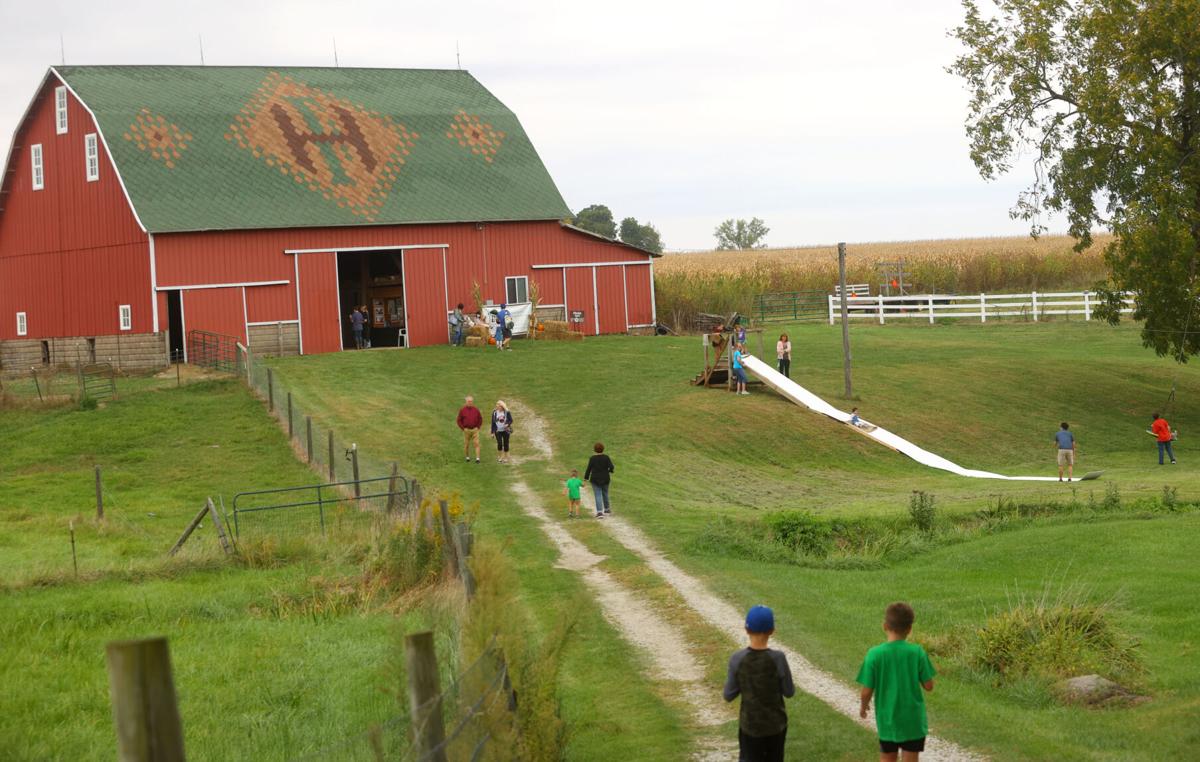 Fall 4 Alpacas Farm Day WEB ONLY 14.JPG