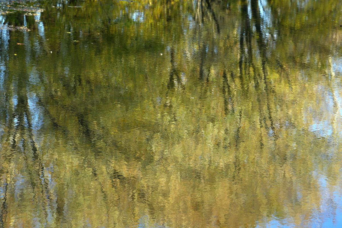 Eel River WEB ONLY 34.JPG