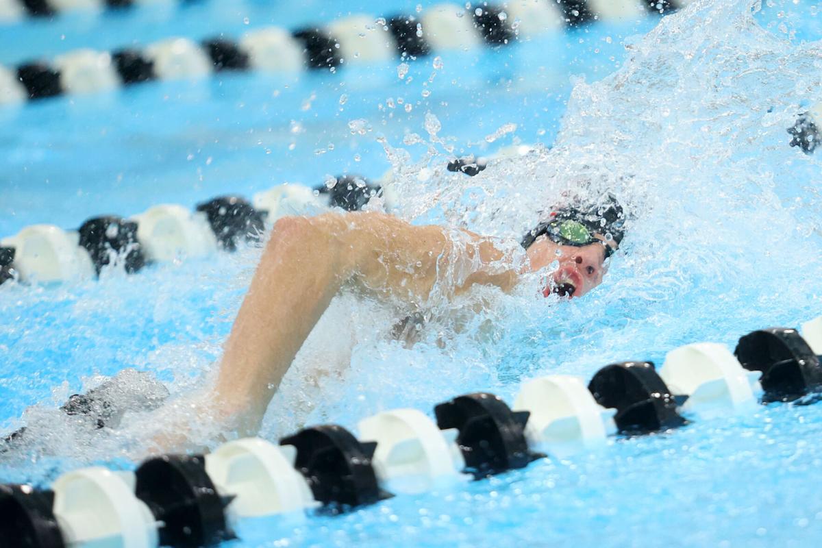 Western swimming 08.jpg