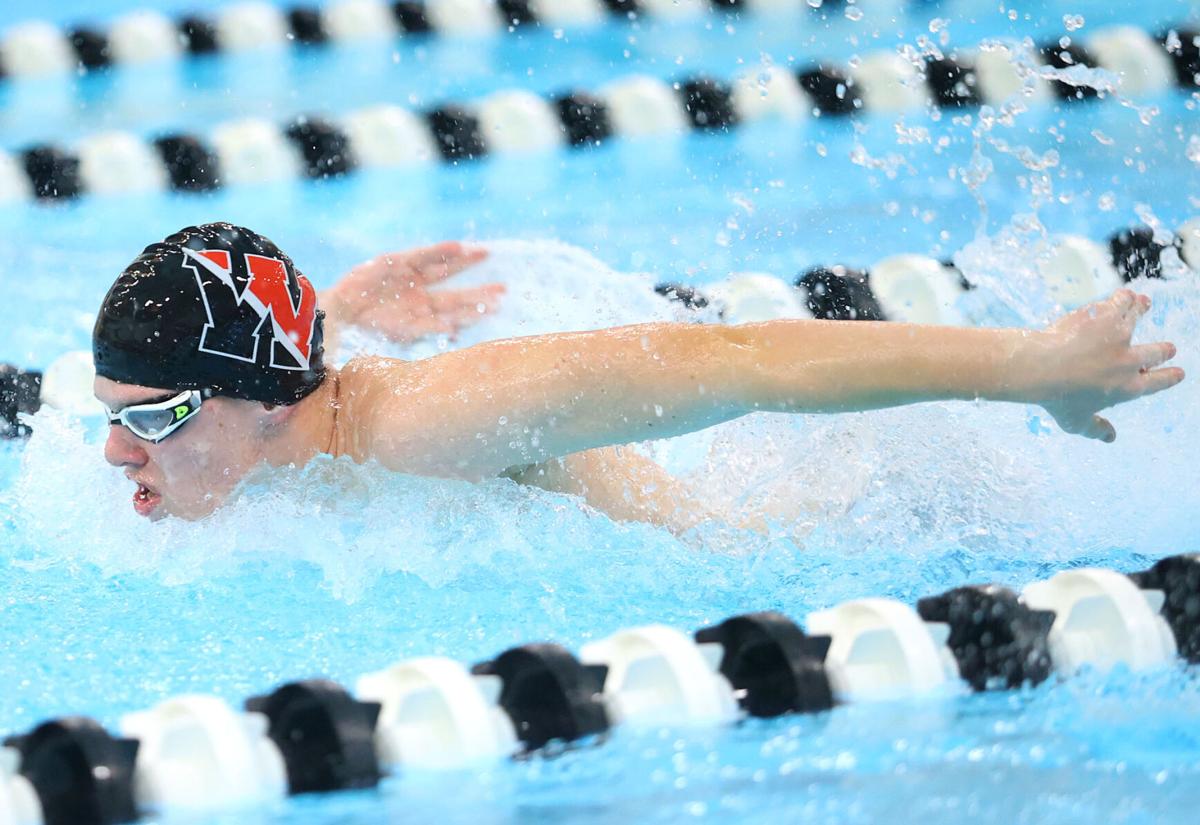 Western swimming 07.jpg