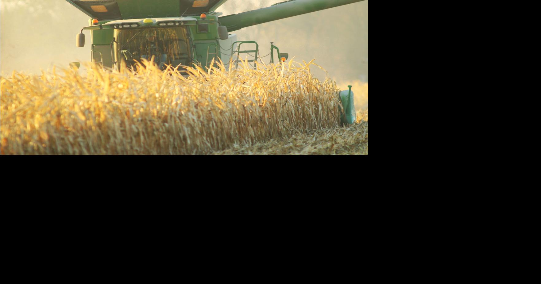 'We'll take it': Area farmers pleasantly surprised by harvest following ...