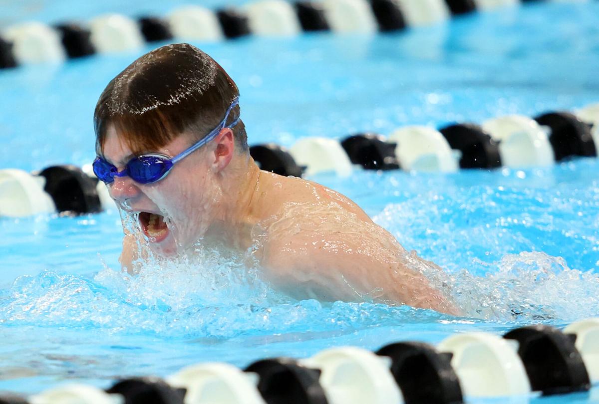 Western swimming 06.jpg
