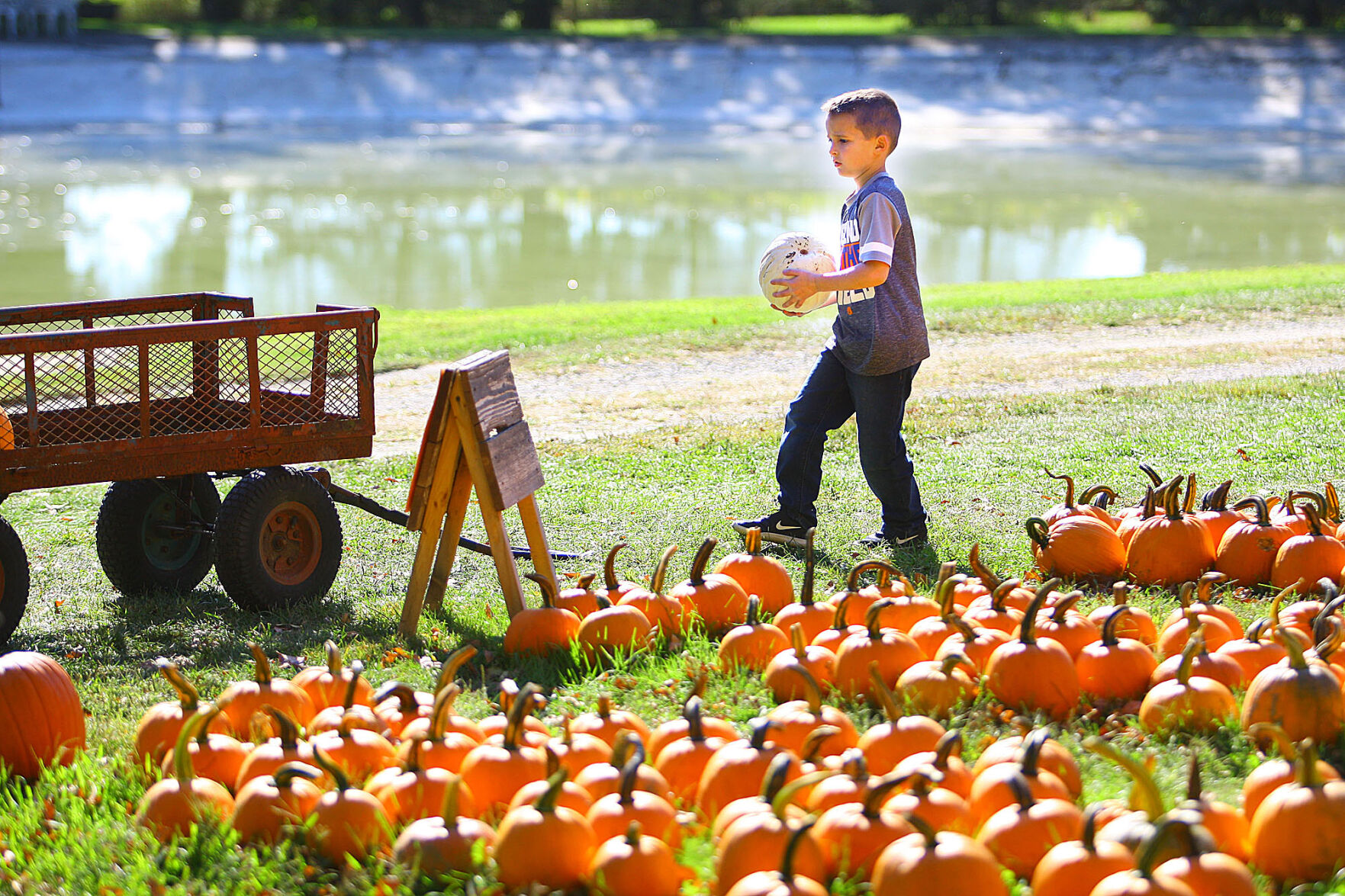 pumpkin patch near kokomo indiana