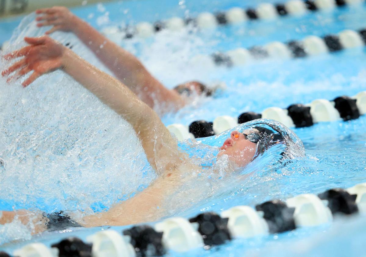 Western swimming 05.jpg