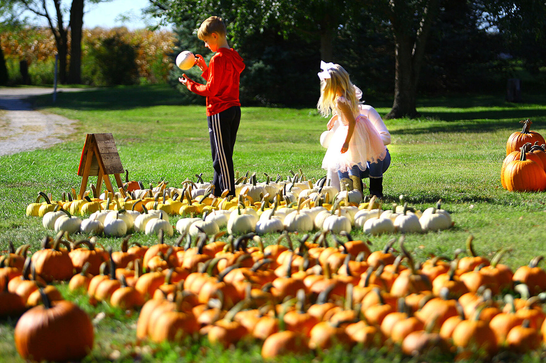 prices pumpkin patch kokomo indiana