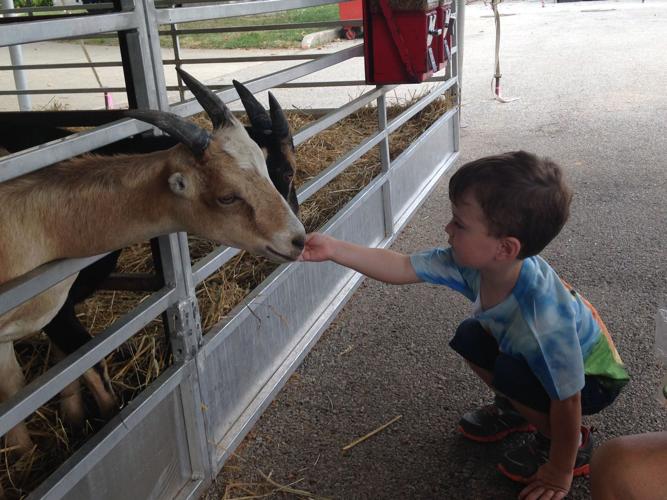 Feed goats for a quarter, feel happy the rest of the day ...