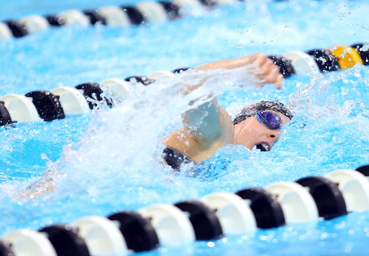 Western swimming 04.jpg