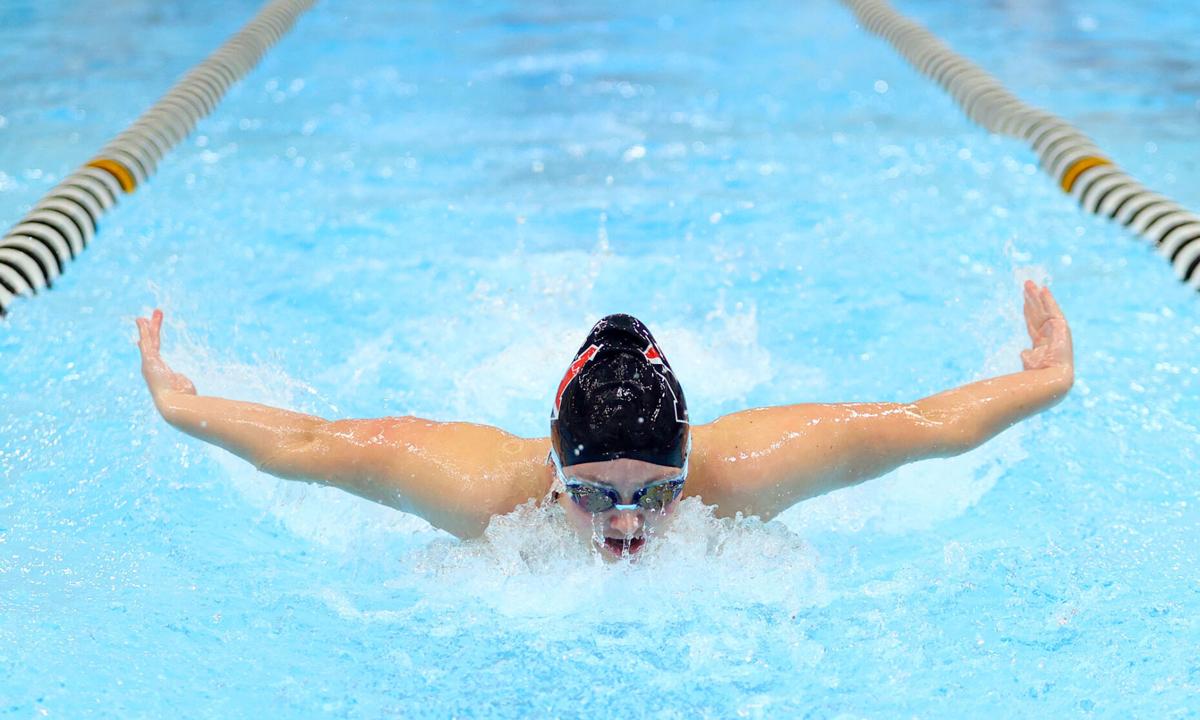 Western swimming 03.jpg