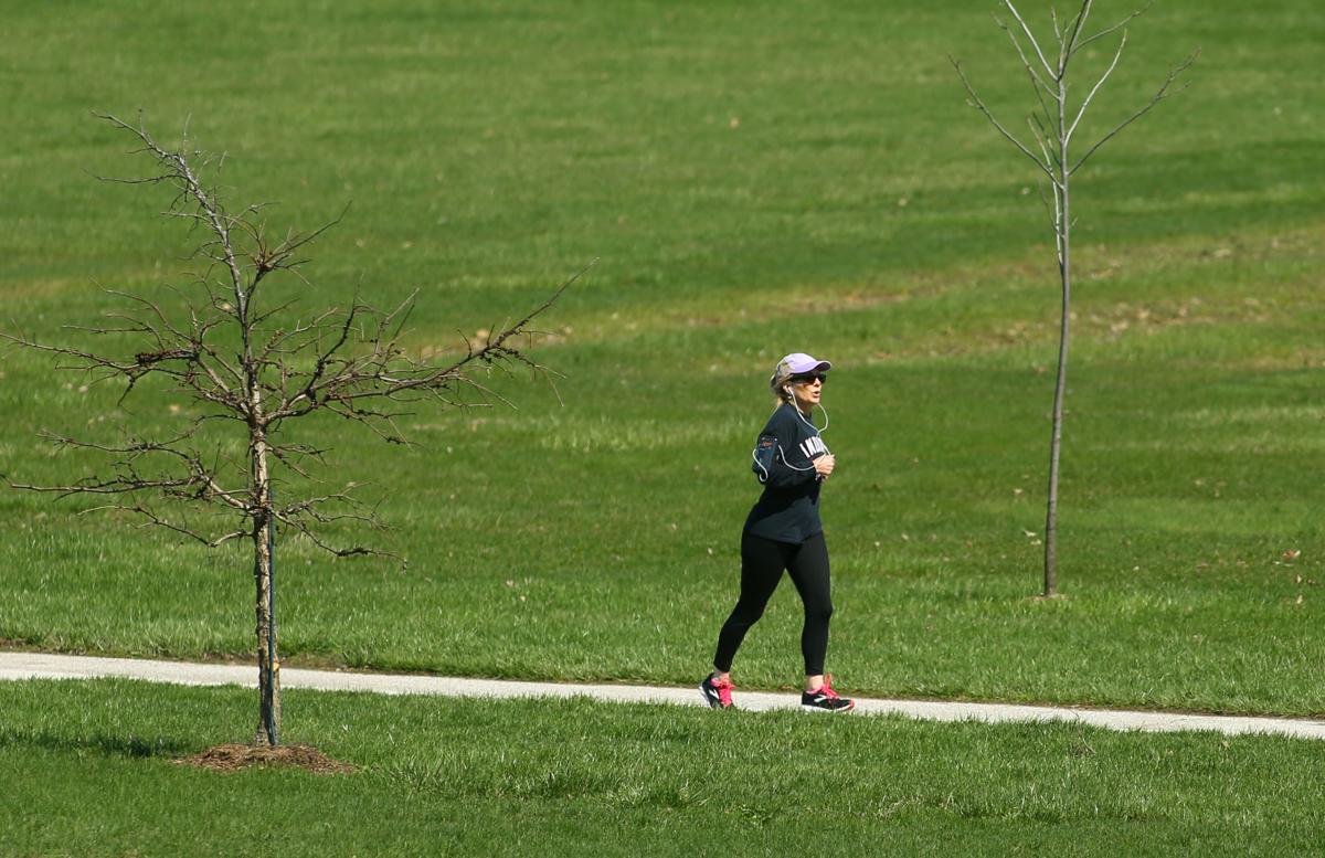 PHOTOS Jackson Morrow Park News