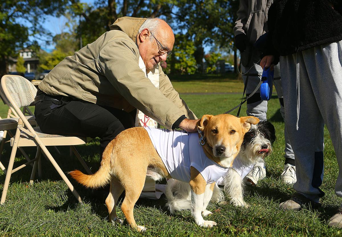 13th Annual Barktoberfest