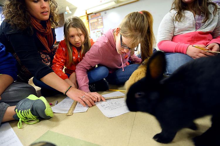 Animals and Art helps students learn real-world lessons with animals | Local news Animals and Art helps students learn real-world lessons with animals | Local news