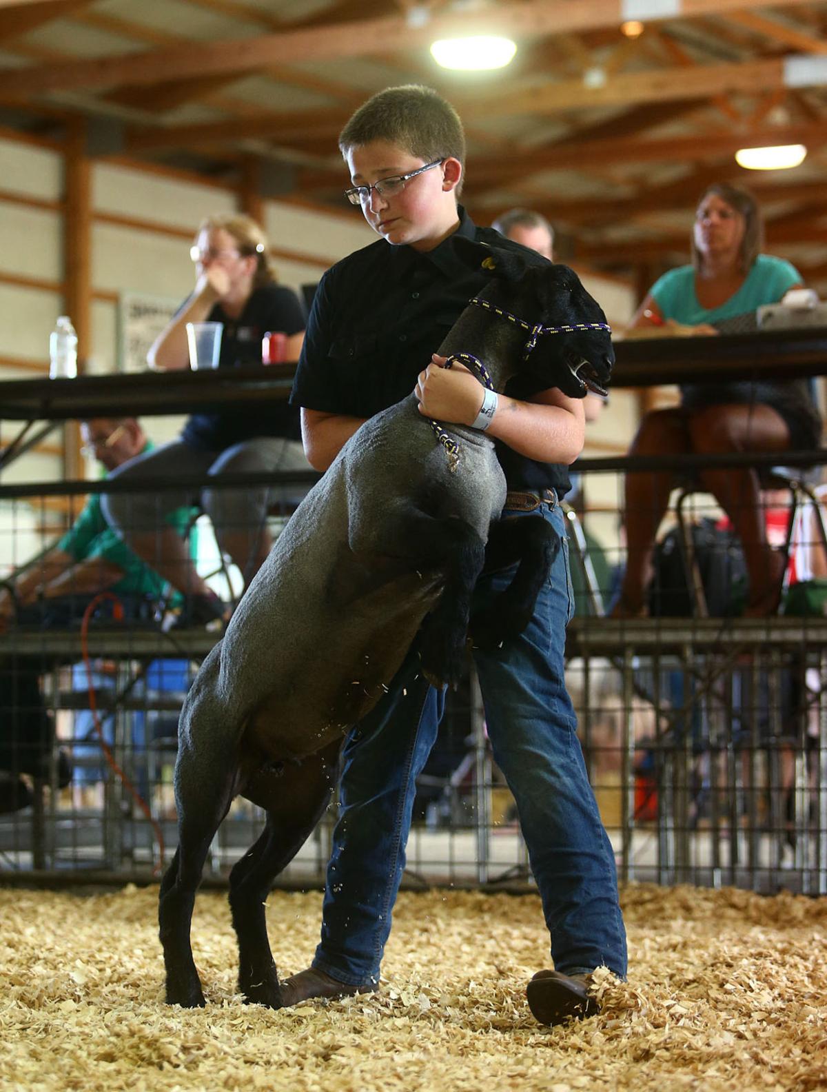 Livestock auction brings mixed emotions to 4H participants Local