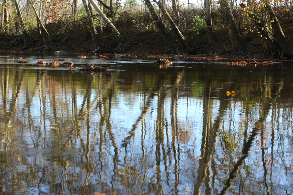 Eel River WEB ONLY 23.JPG